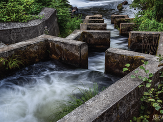 Restarting and Rejuvenating