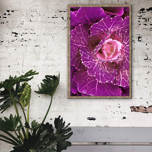 Thumbnail: Autumn bloom wall art print | Beauty as a gift canvas picture