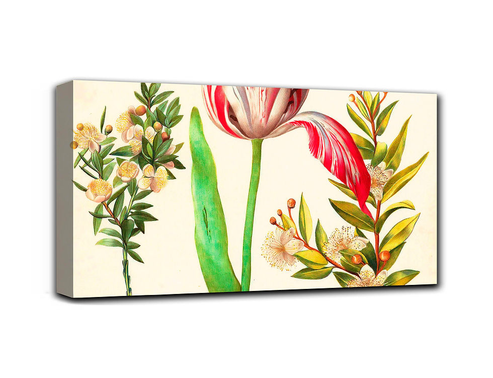 Thumbnail: Medieval flowers painting wall art print | Tulips and Shells canvas picture