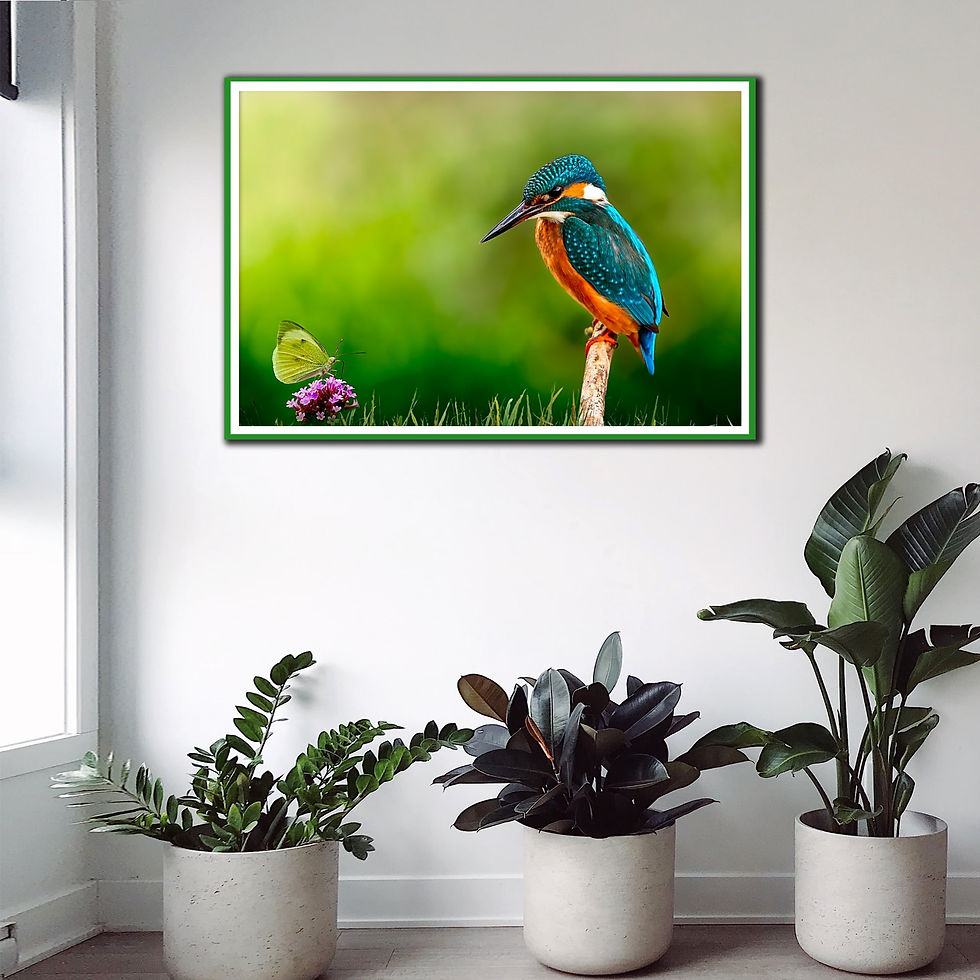 Thumbnail: colorful nature wall art print | multicolored bird canvas picture