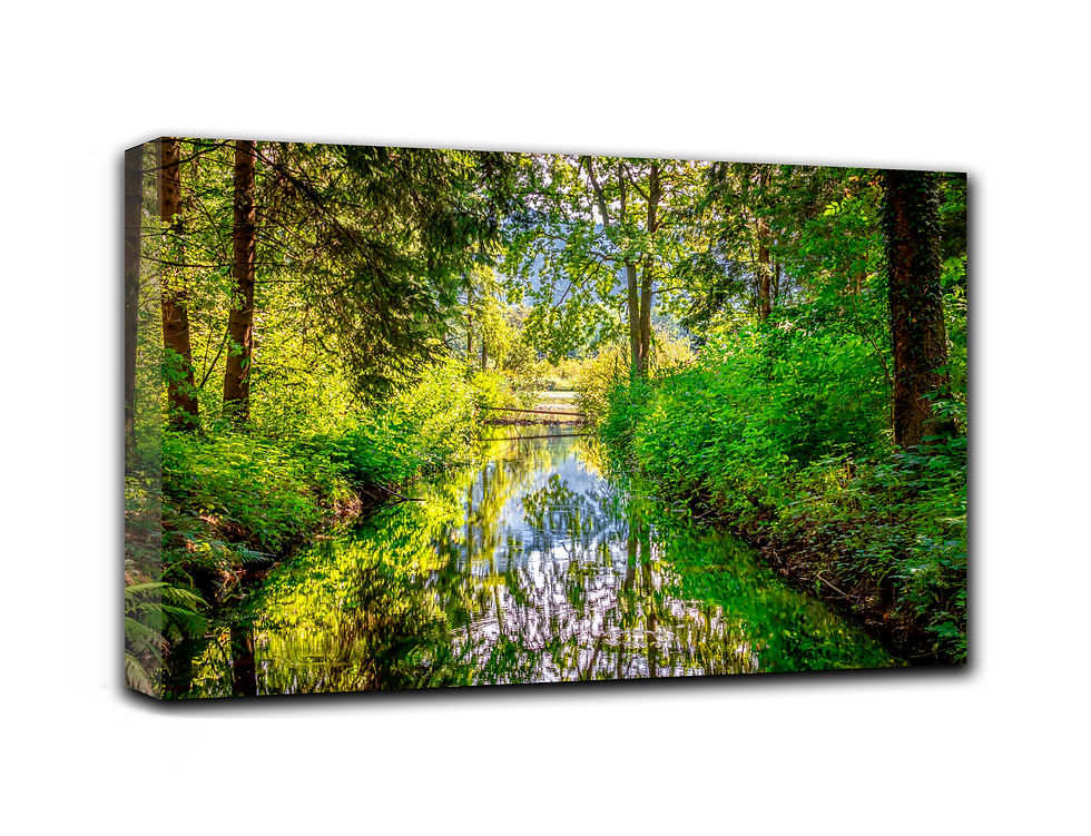 Thumbnail: Romantic untouched nature wall art print | Small river  picture