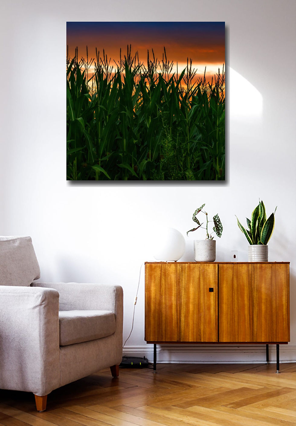 Thumbnail: Corn Plantation at Dusk  wall art print | Chilean Patagonia canvas picture