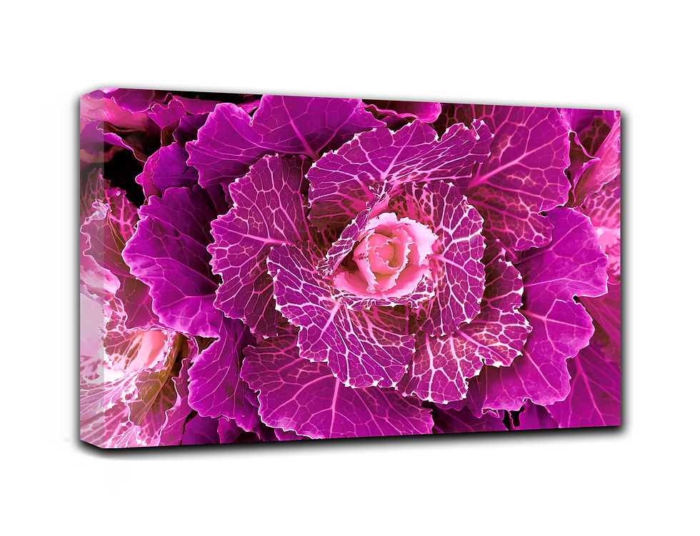 Thumbnail: Autumn bloom wall art print | Beauty as a gift canvas picture