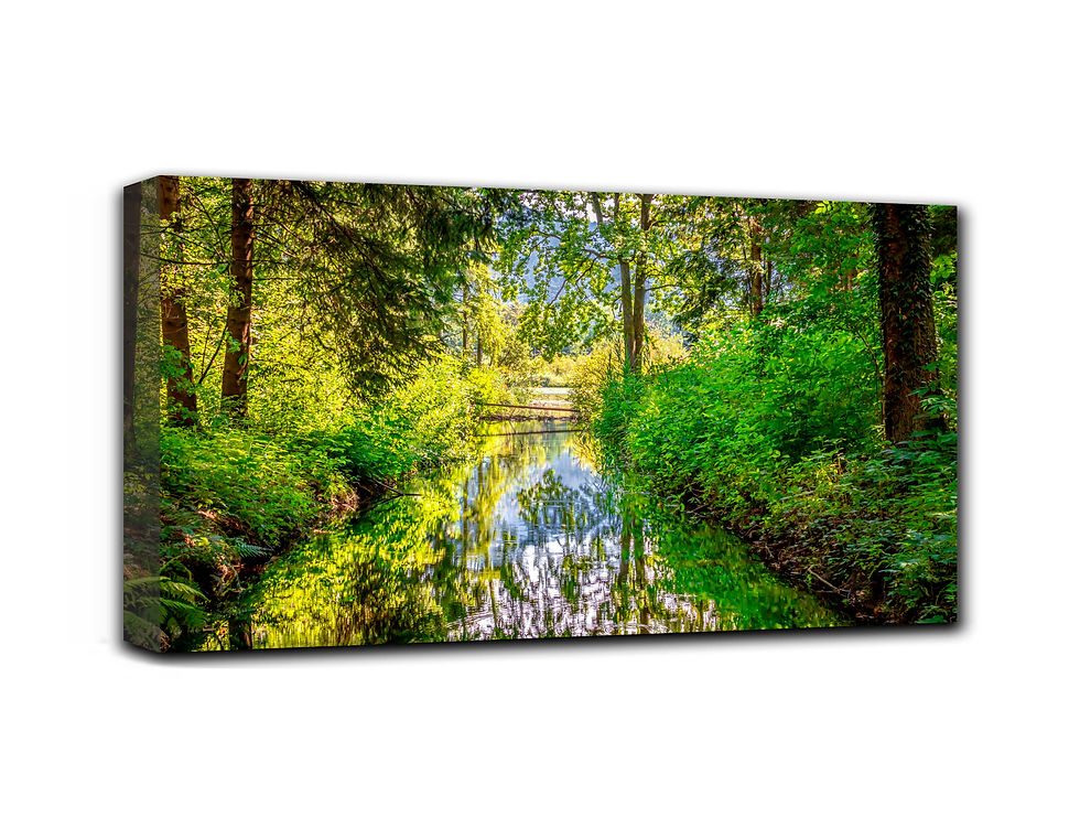 Thumbnail: Romantic untouched nature wall art print | Small river  picture