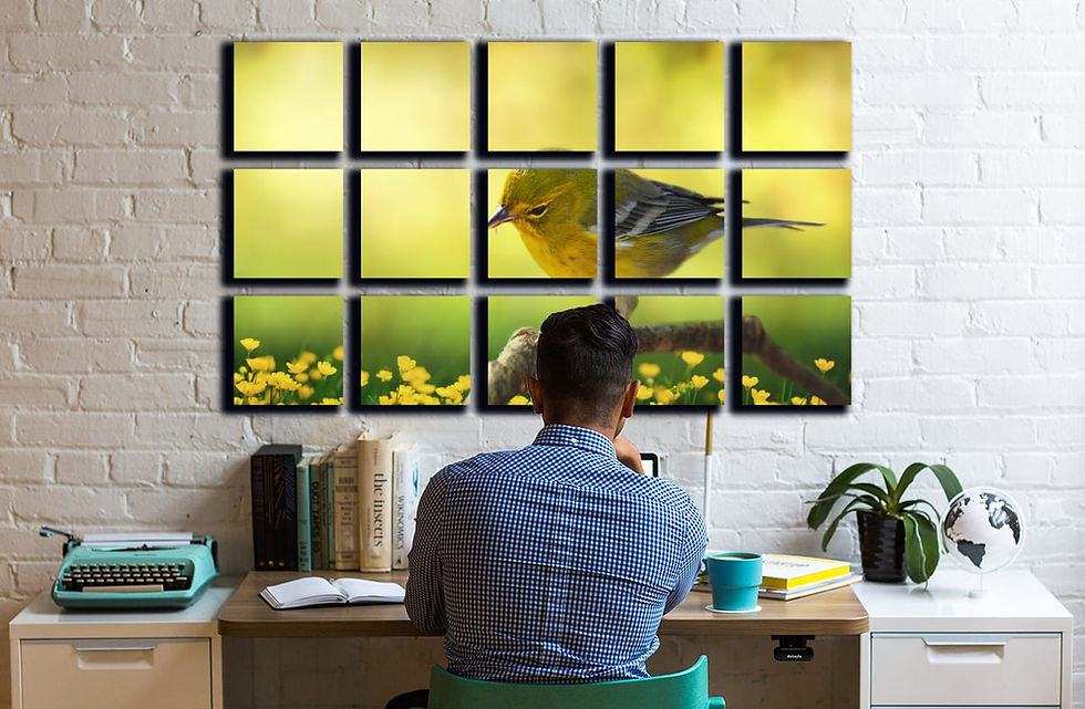 Thumbnail: Bird in spring wall art print | Bird in a garden canvas picture