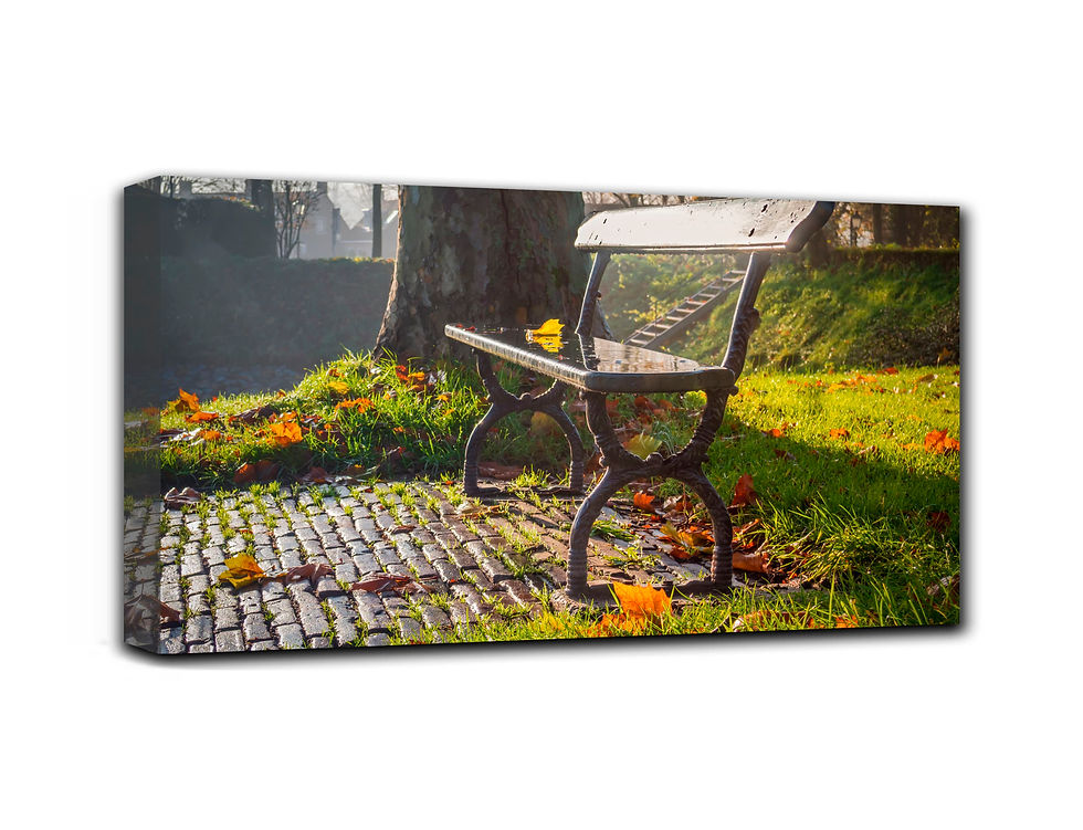 Thumbnail: Bench in autumn wall art print | sunbeam reflections picture