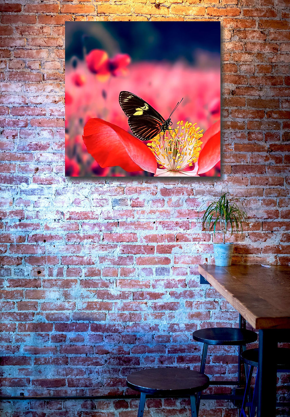 Thumbnail: butterfly in spring wall art print | Red butterfly canvas picture