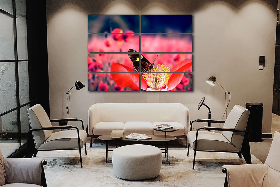 Thumbnail: butterfly in spring wall art print | Red butterfly canvas picture