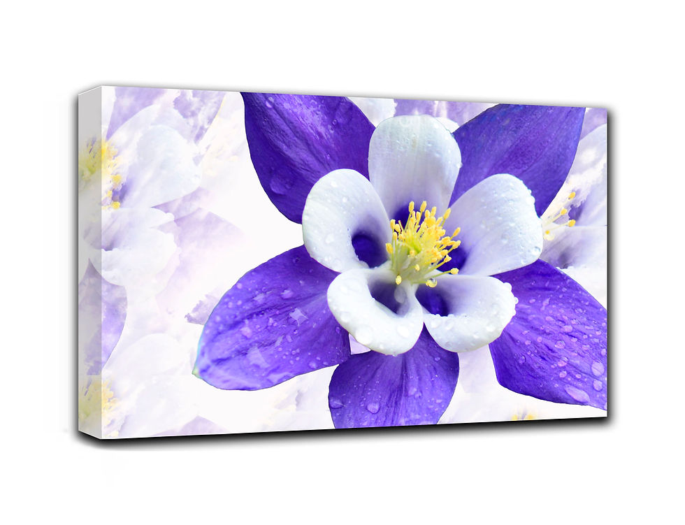 Thumbnail: The charm wall art print | mountain flowers canvas picture