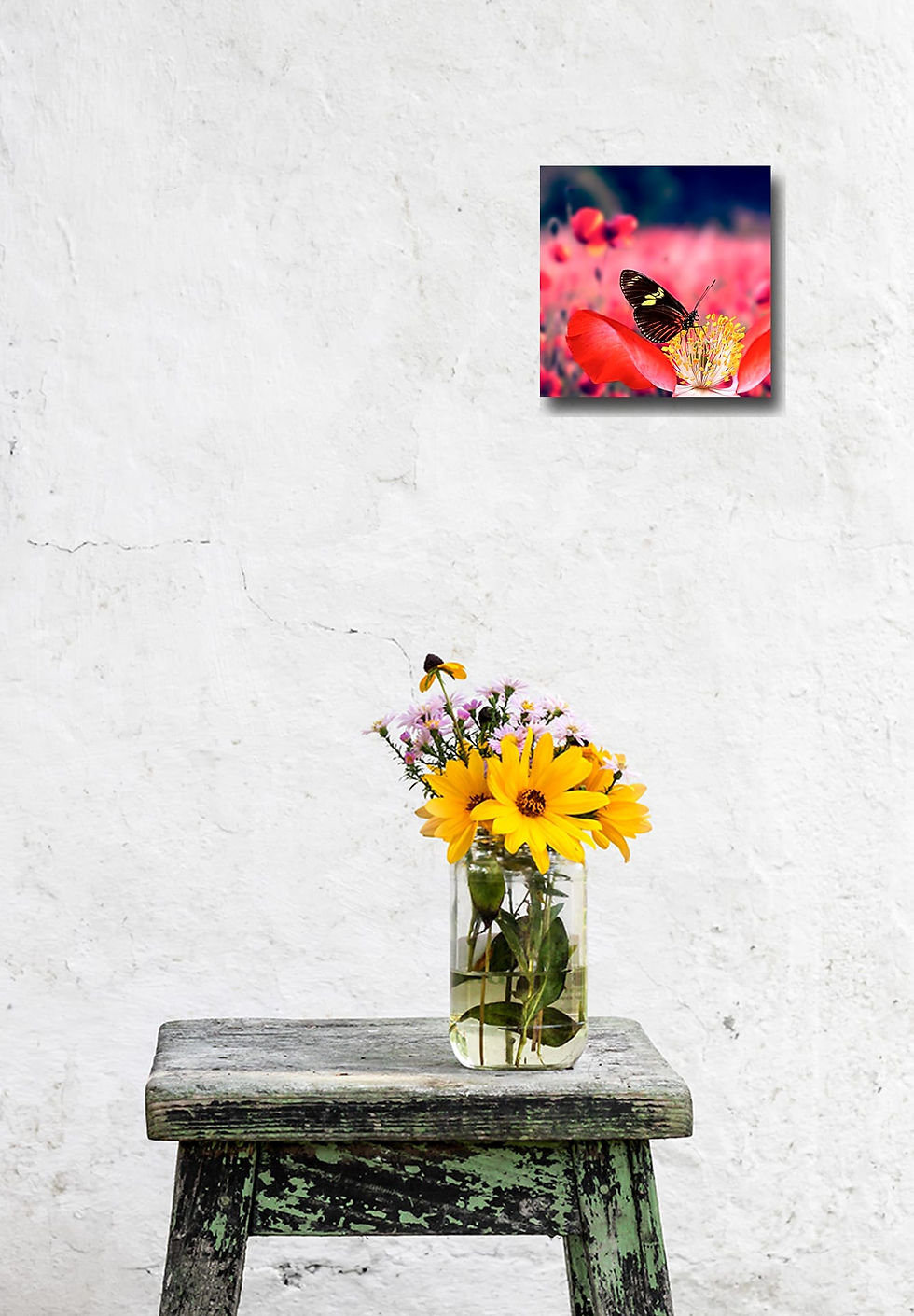 Thumbnail: butterfly in spring wall art print | Red butterfly canvas picture