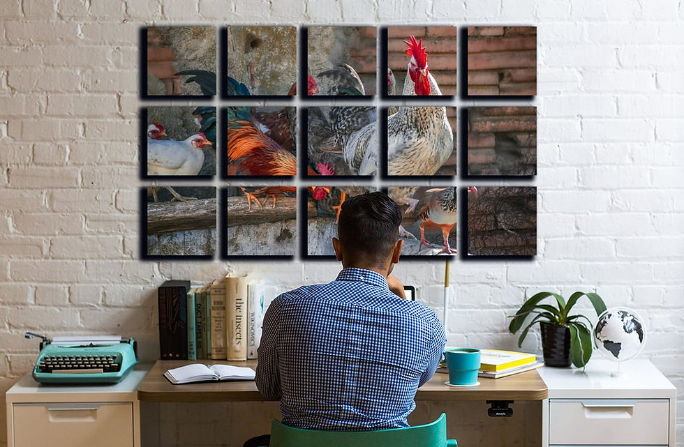 Thumbnail: hen house wall art print | rooster canvas picture