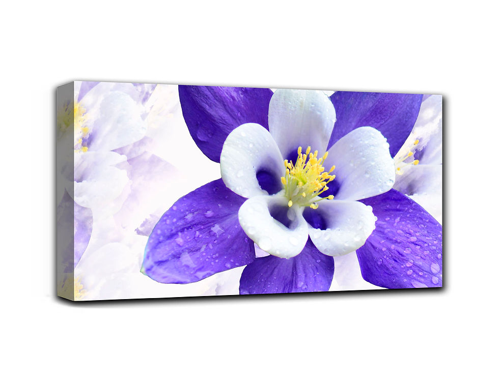Thumbnail: The charm wall art print | mountain flowers canvas picture