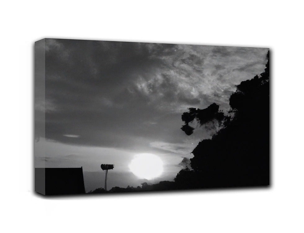 Thumbnail: a sunset bw photo