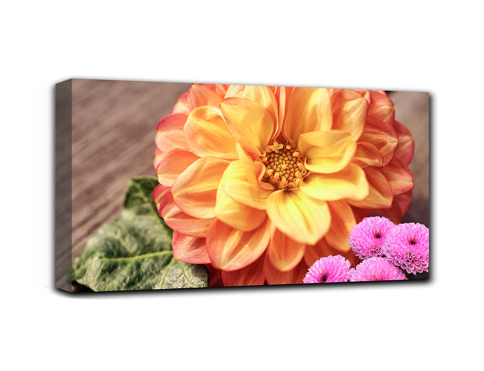 Thumbnail: Flowers for my bedroom wall art print | Delicate dahlia canvas picture