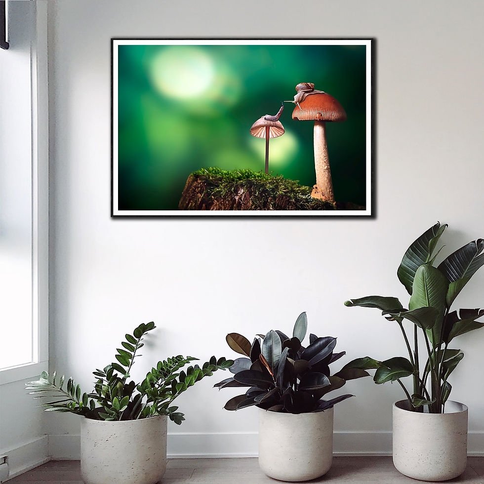 Thumbnail: snail love wall art print |  snail mushrooms canvas picture
