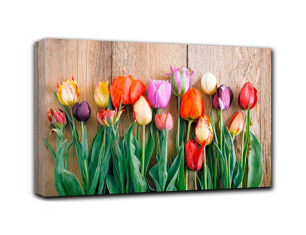Thumbnail: tulips on table wall art print | spring flowers canvas picture