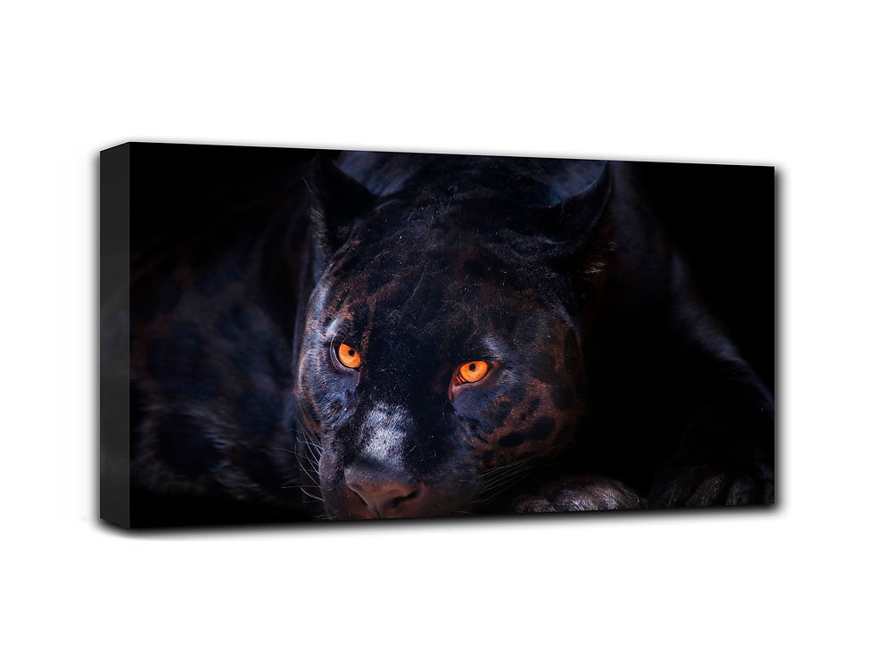 Thumbnail: Black Panther wall art print | panther at night canvas picture