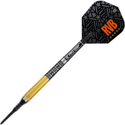 Target Raymond Van Barneveld 95 Soft Tip Darts