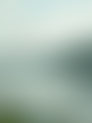 The Power of Mindfulness in Everyday Life