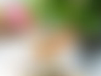 ☕️☕️スコータイのアフタヌーンティーセットが新しくなりました!