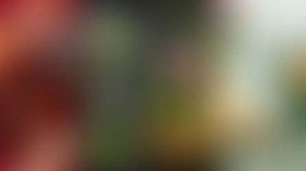 2025年バンコクのプレミアム月餅４選