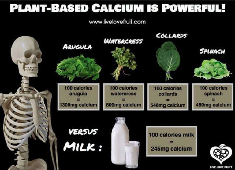 Calcium Rastlina Calcium in Plants