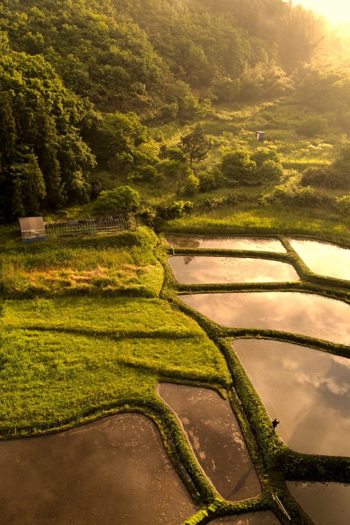 Mission Statement Photozou HD