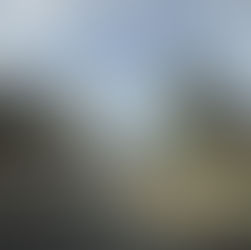 نجاح مشروع إزالة هياكل السيارات المهملة من شوارع مدن وقرى اتحاد البيئة المثلث الجنوبي