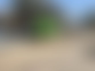 اكتمال حملة النظافة في مدينة قلنسوة