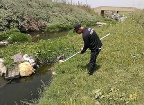 البعوض خطر وإزعاج والوقاية مسؤولية الجميع