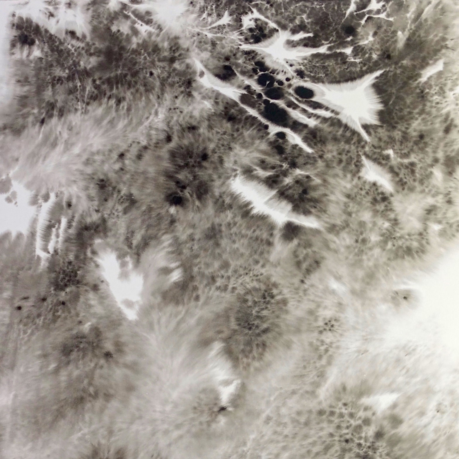 Untitled (Yam Series I)