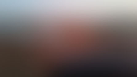 Photo Dump for trip 3