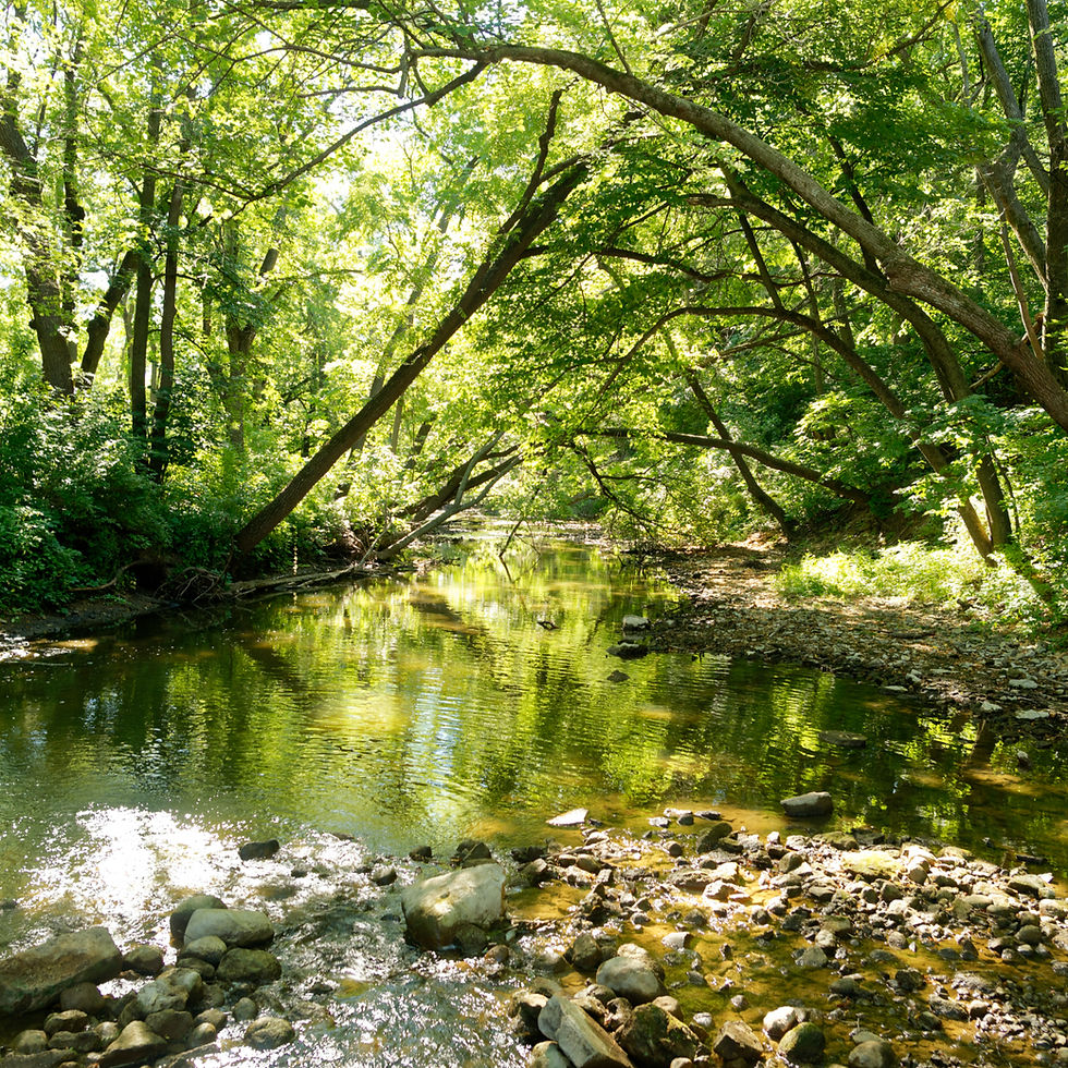 Why "Financial Well-Being"?