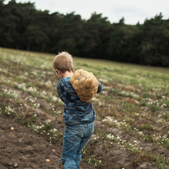 Kinder beim Kartoffelbuddeln