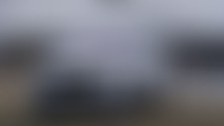 TEST ŠKODA KODIAQ RS 2.0 TSI: MEDVĚD NA STEROIDECH