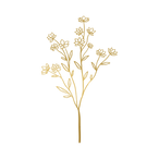 Butterfly Beauty Studio Logo Design (18).png