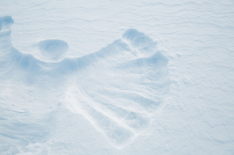 The Mount Rainier Snow Angels