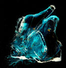 Delion - 12_x12_ - G.jpg