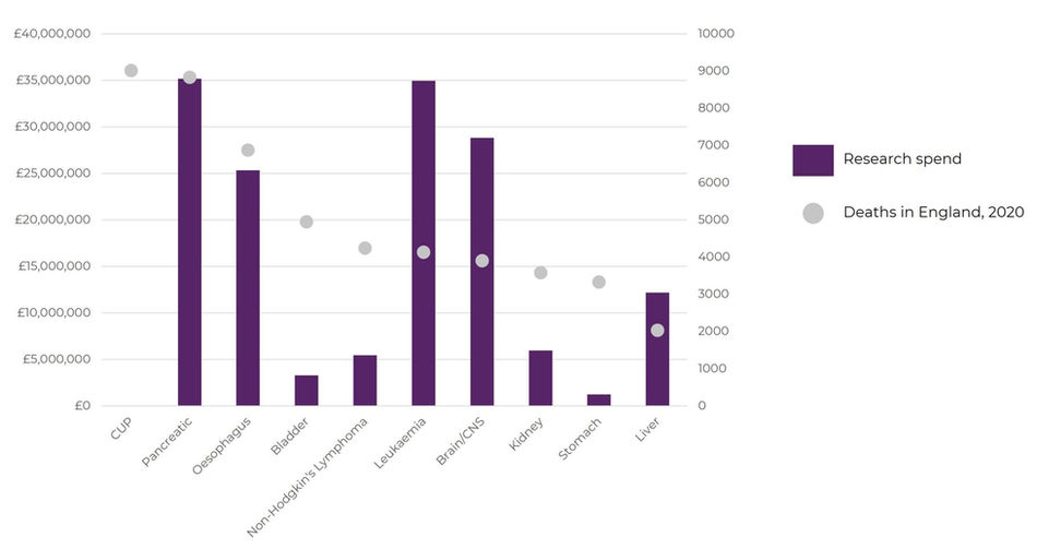 Cancer52 analysis on rare and less common cancer research spend