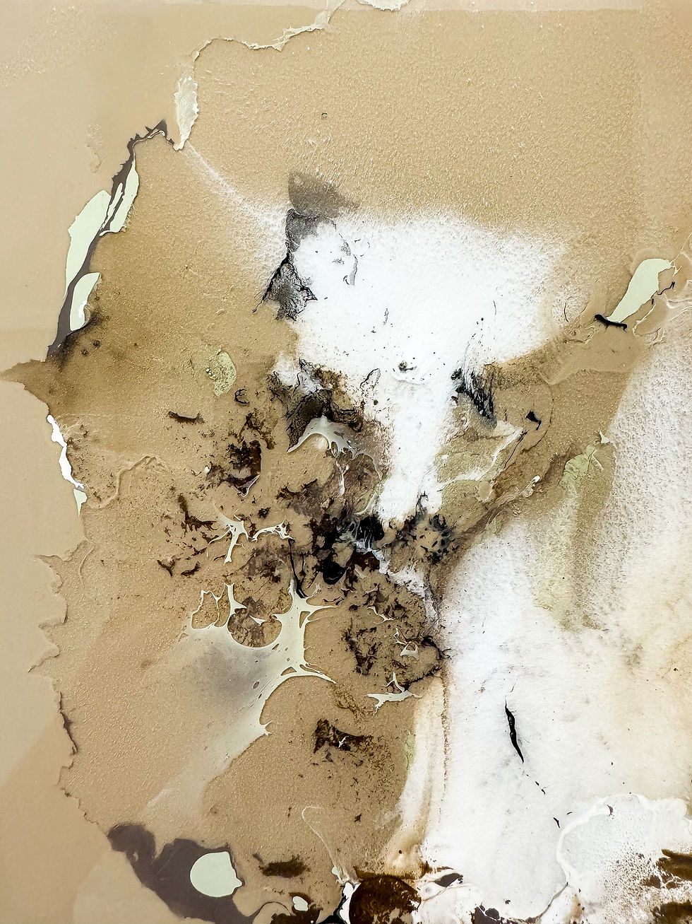 Thumbnail: Lightness V - 10"x10"
