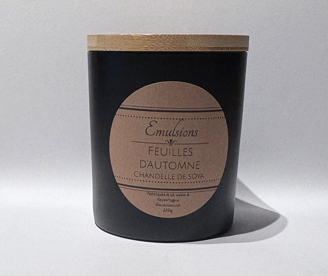 bougie - chandelle - candle -soja - soya - feuilles - automne -fall -leaves - autumn