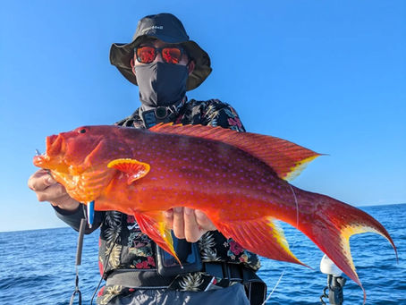 9月29日 チャーター