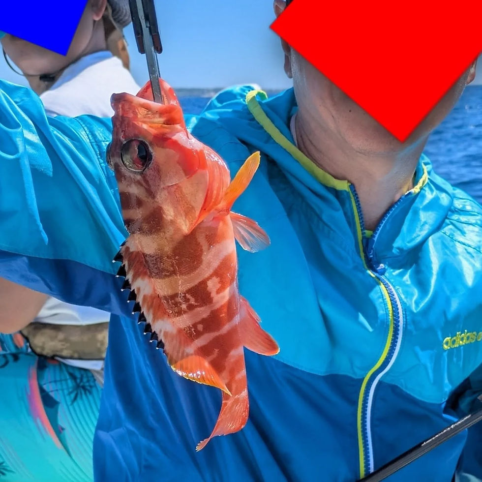 ご家族で4時間チャーター♪