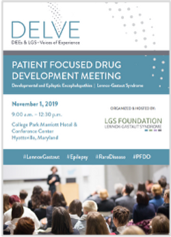 Lennox-Gastaut Syndrome EL-PFDD meeting