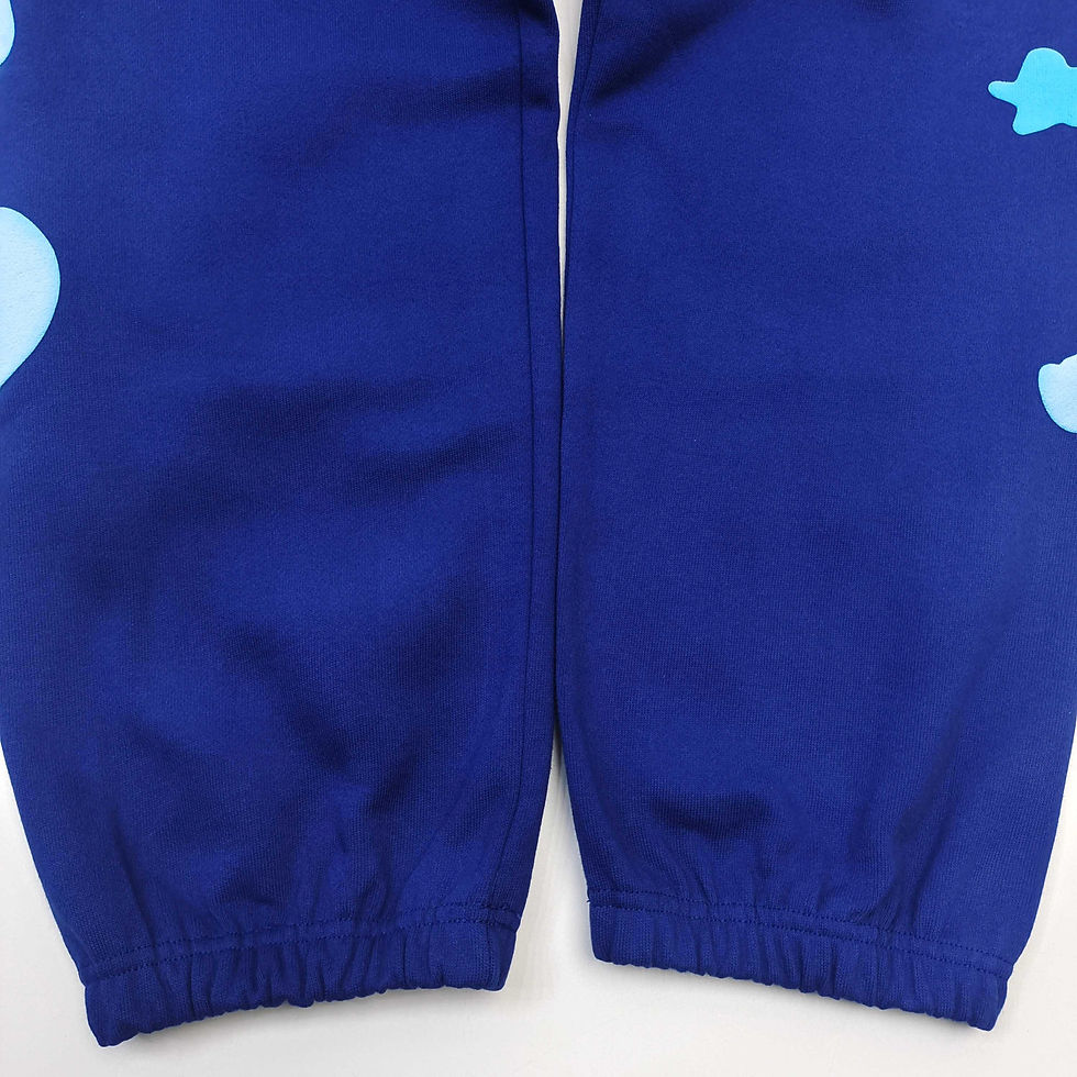 Thumbnail: Sp5der SS26 Beluga V2 Sweatpants