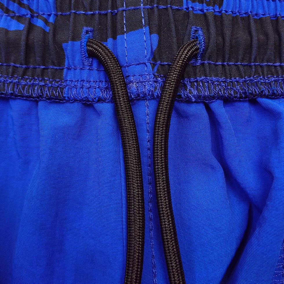 Thumbnail: Matty Boy SS26 Anti Promo Nylon Shorts in Blue