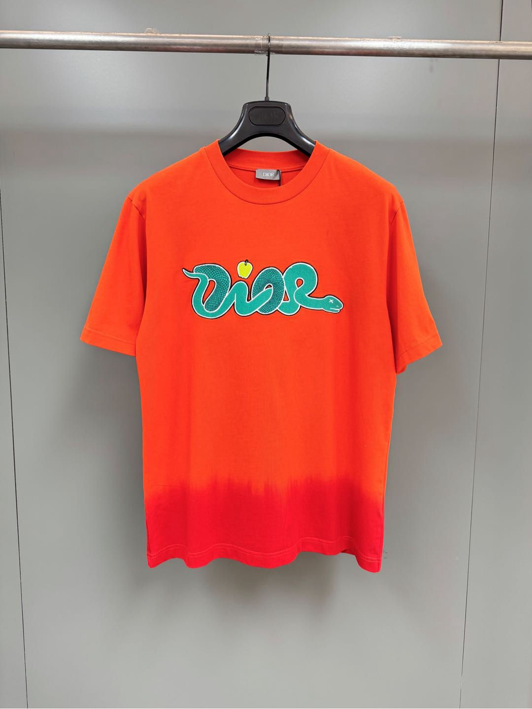 CD x KAWS FW25 Year of the Snake Tee