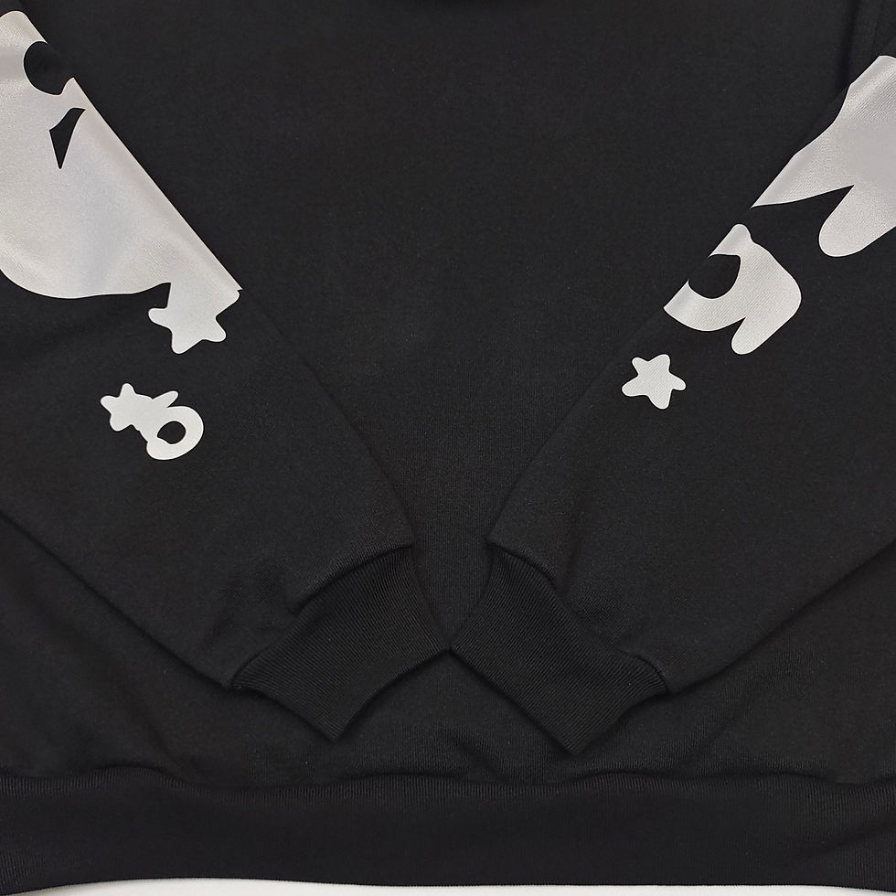 Thumbnail: Sp5der SS26 Reflective Beluga Hoodie