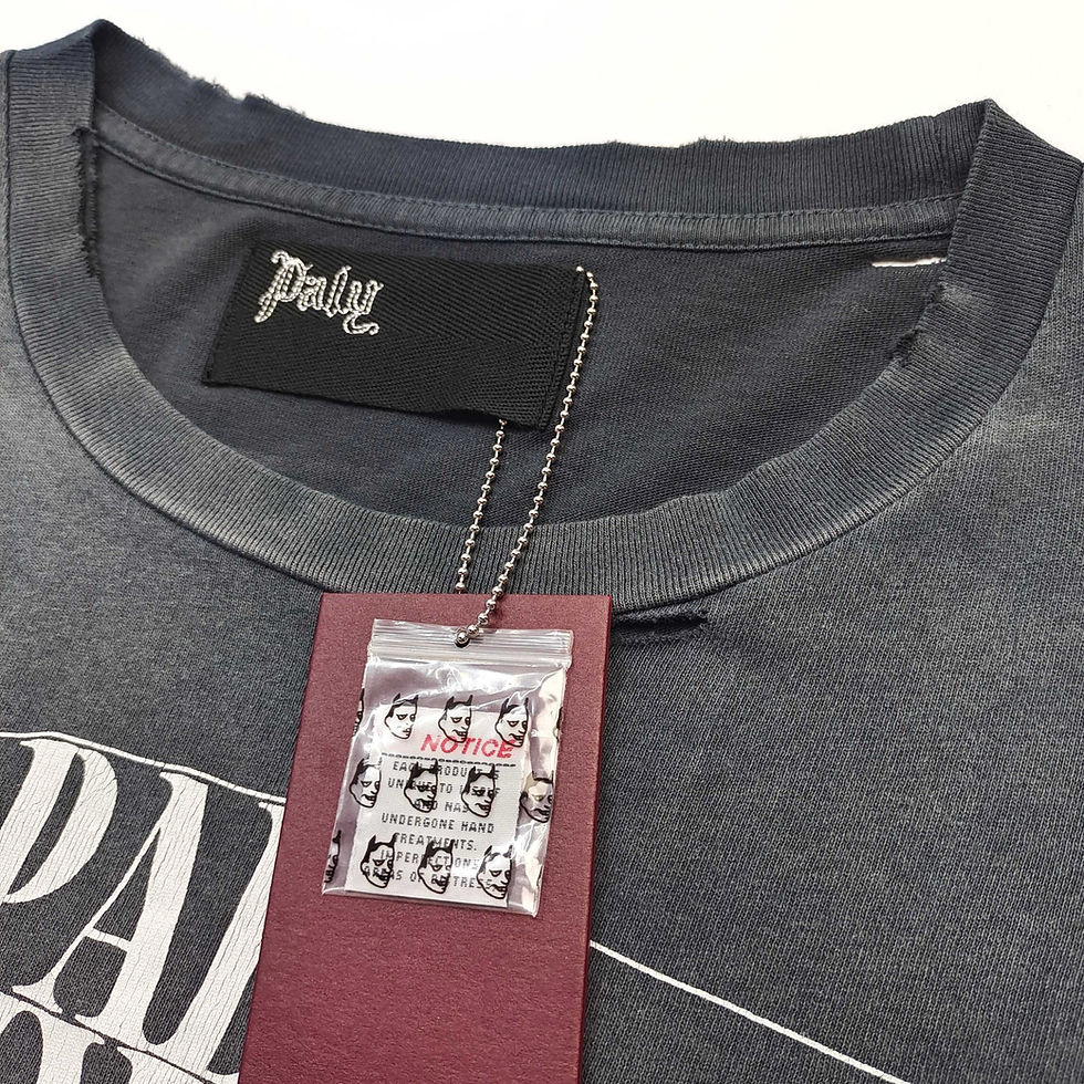 Thumbnail: Paly Hollywood SS26 Myra Breckenridge Distressed Print Longsleeve