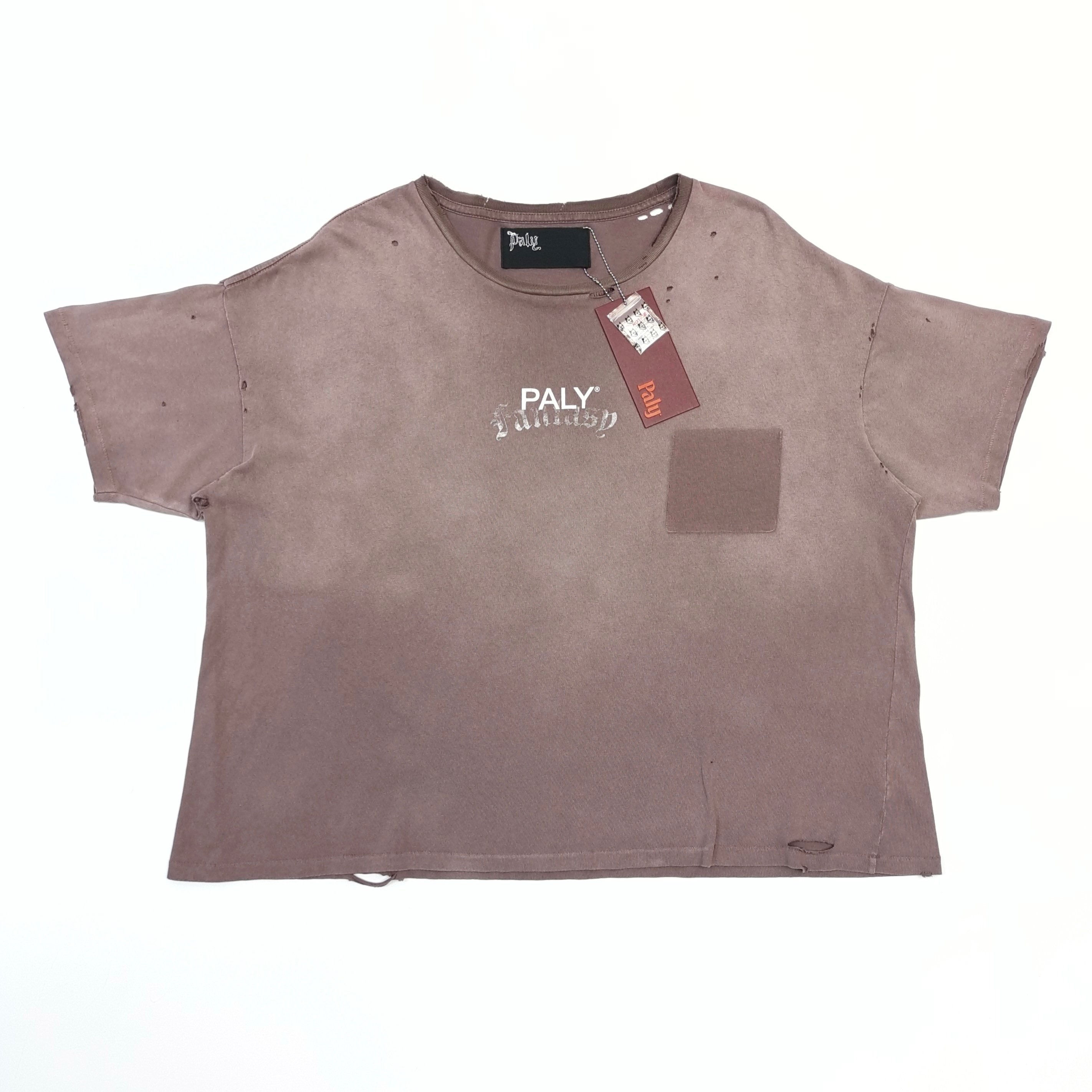 Paly Hollywood SS26 Core Logo Tee in Brown